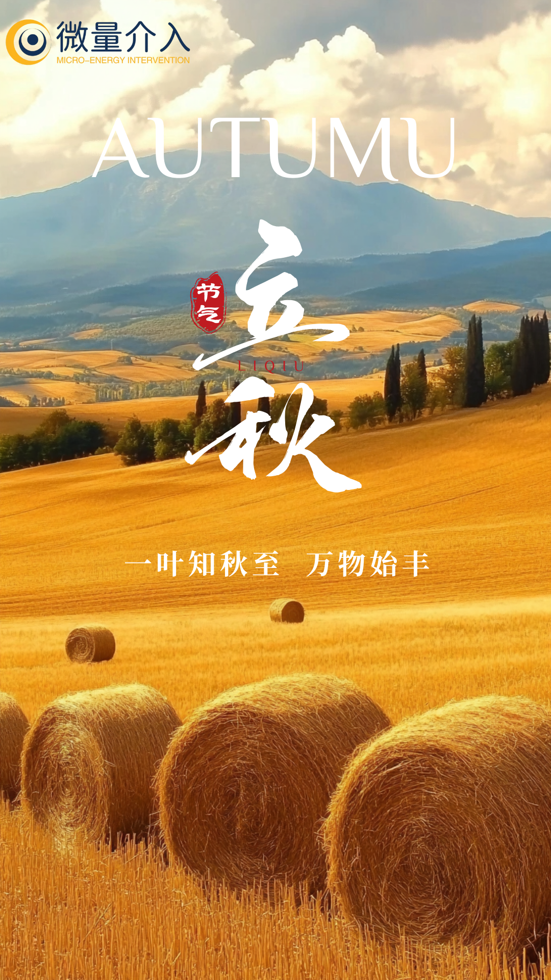 黄色常规立秋手机海报(1)